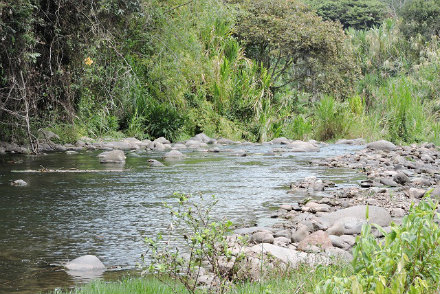 rio quindio
