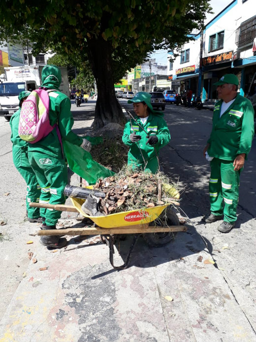 boletin88e