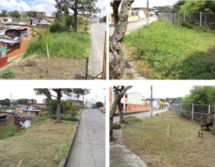 barrio pinares