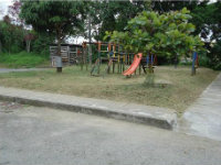 guaduales 2